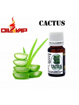 O4V - Aroma CACTUS 10ML  - 1