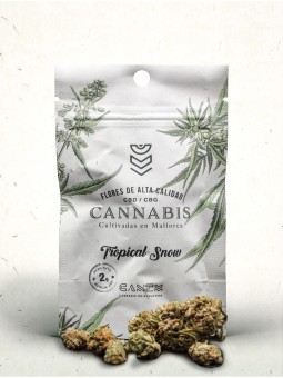 FLORES DE CBD/CBG BY CANEM TROPICAL SNOW CANEM CBD - 2