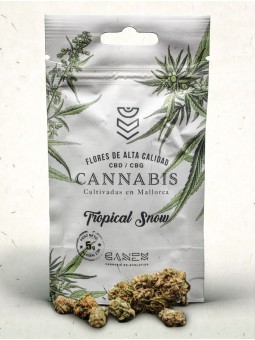 FLORES DE CBD/CBG BY CANEM TROPICAL SNOW CANEM CBD - 1