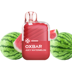 OXB - POD DESECHABLE MINI 2200 JUICY WATERMELON BY OXBAR