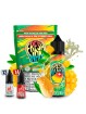 O4V - AROMA PACK 60ML FRESH MANGO