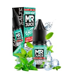 MRJ - SALES FRESH MINT MR. JUICE (10ML)