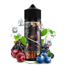 WRR - AROMA WARRIOR LONGFILL SAMURAÏ 10ML WARRIOR - 1