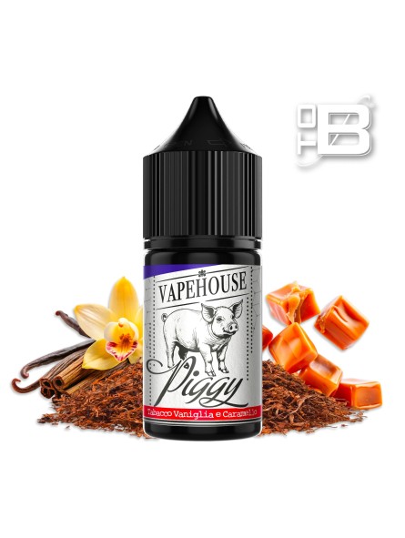 VPH - VAPEHOUSE AROMA LONGFILL PIGGY (5ml) Up To 30ml